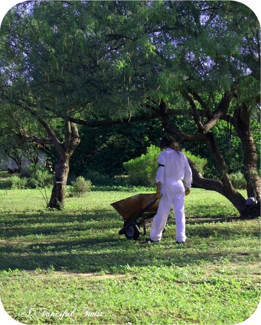 Green_6 Green_6