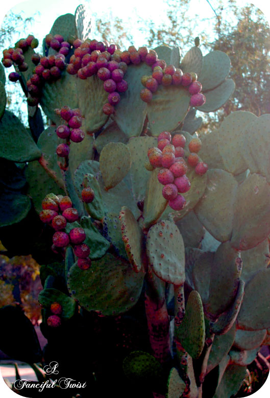Green_8 Green_8