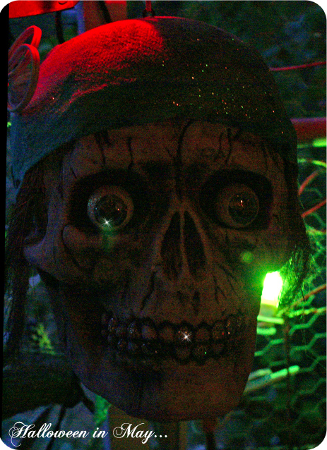 Halloween_in_may Halloween_in_may