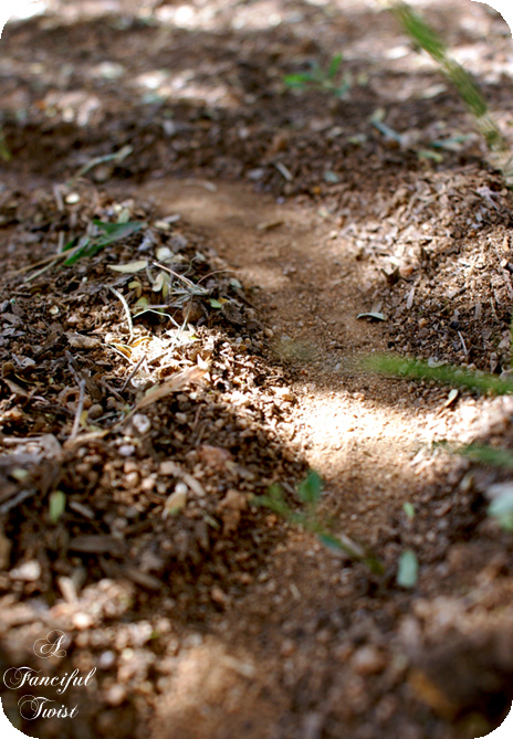 Halloween_party_near_2 Halloween_party_near_2