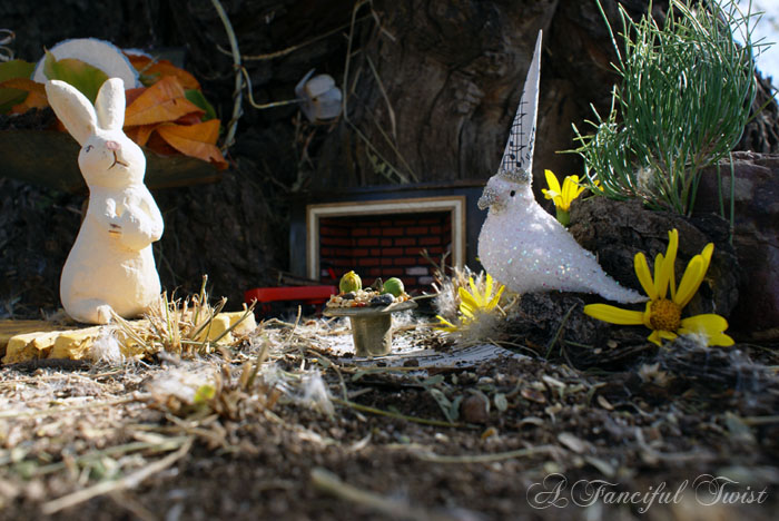 Hidden_rabbitwood_closeup_teatime Hidden_rabbitwood_closeup_teatime