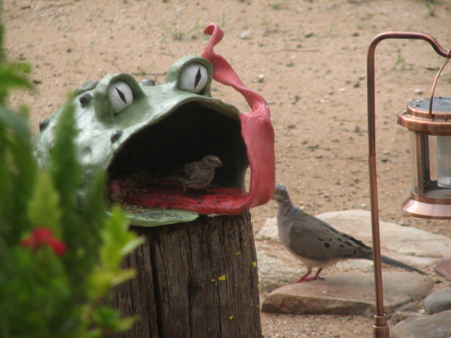 Img_1275_1 Img_1275_1