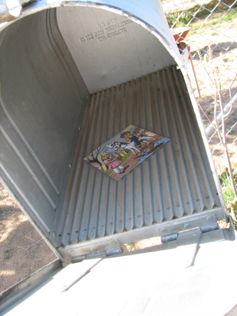 Img_1806 Img_1806
