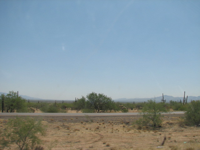 Img_2874 Img_2874