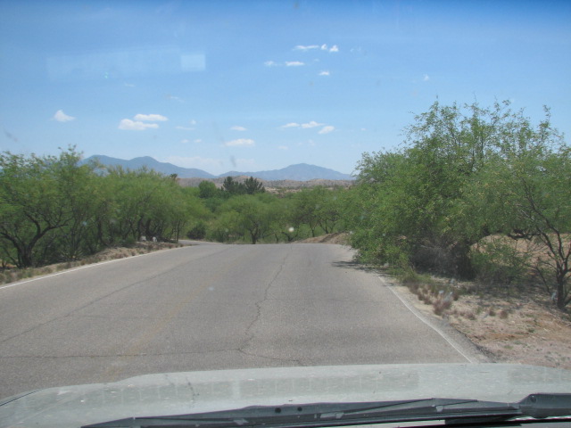 Img_2933 Img_2933