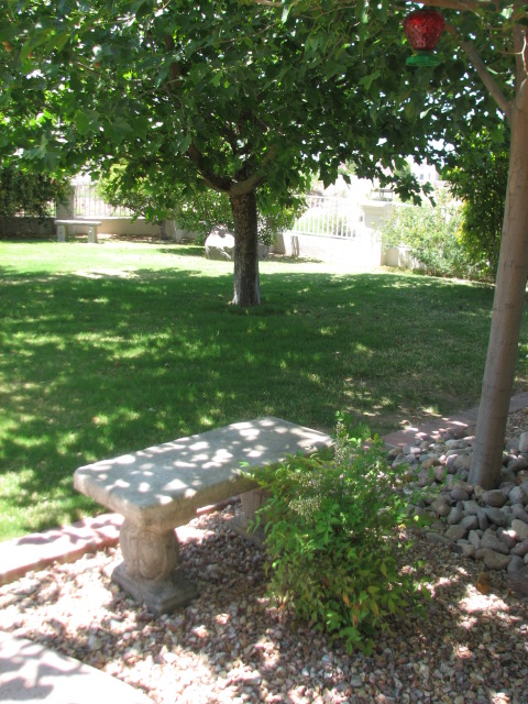 Img_2976 Img_2976