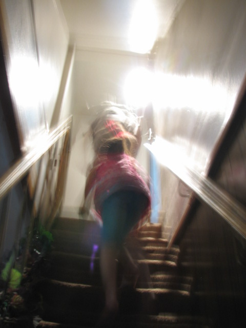 Img_3328 Img_3328