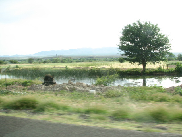 Img_5116 Img_5116