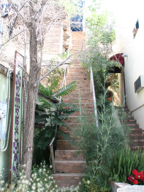 Img_5247 Img_5247
