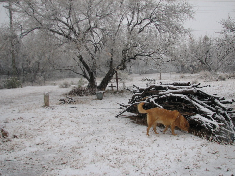 Img_5881_1 Img_5881_1