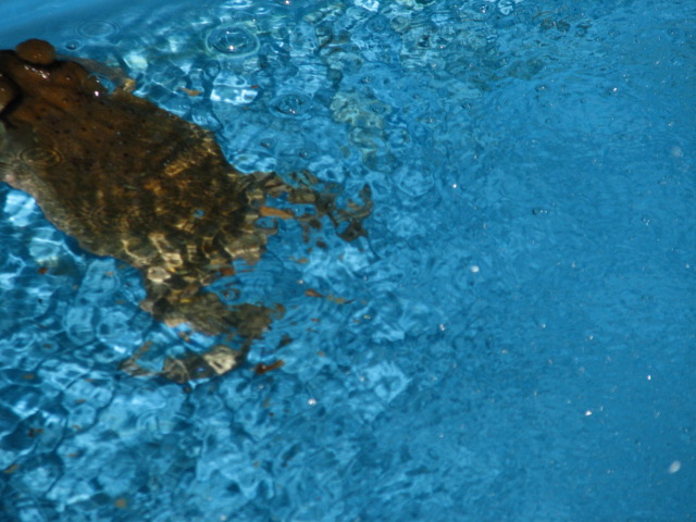 Img_6609 Img_6609