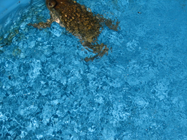 Img_6615 Img_6615