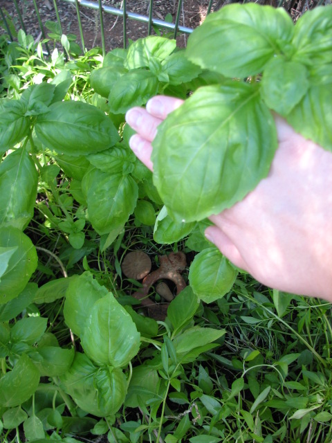 Img_9486 Img_9486