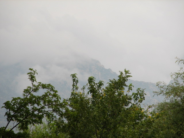 Img_9595 Img_9595