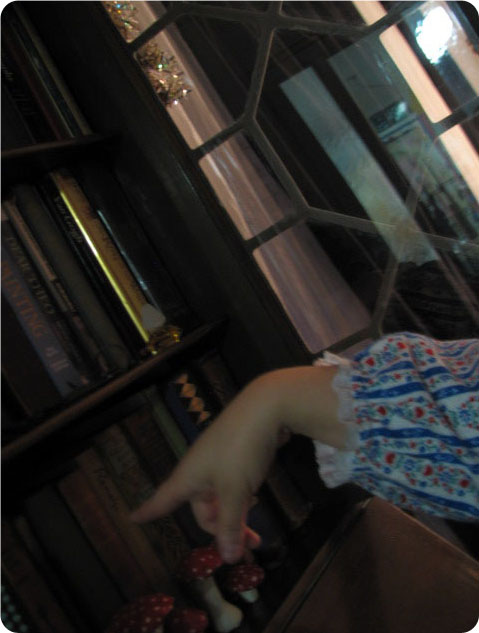 Me_searching_for_a_book Me_searching_for_a_book