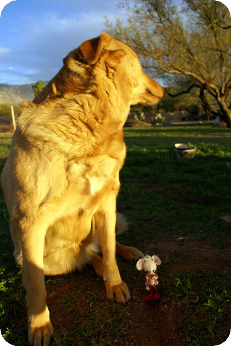 Mouseboy_falls_in_love_16 Mouseboy_falls_in_love_16