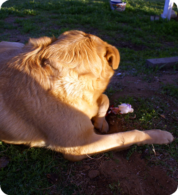 Mouseboy_falls_in_love_8 Mouseboy_falls_in_love_8