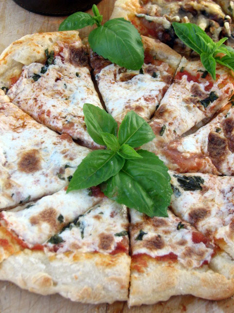 Mozzarella_basil_pizza Mozzarella_basil_pizza