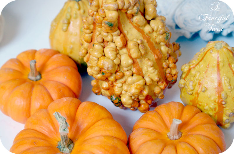 Pumpkin_11_2 Pumpkin_11_2