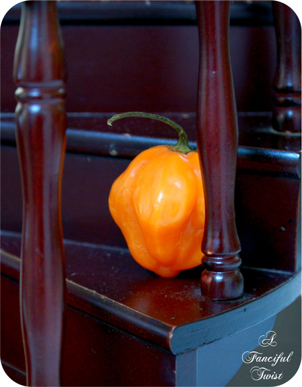 Pumpkin_2 Pumpkin_2
