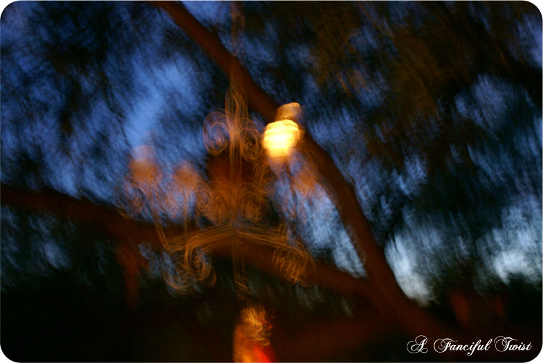 Summer_1 Summer_1