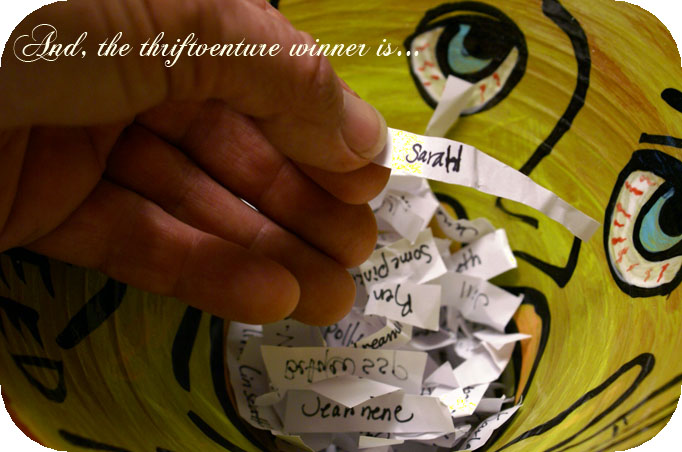 Thriftventure_winner Thriftventure_winner